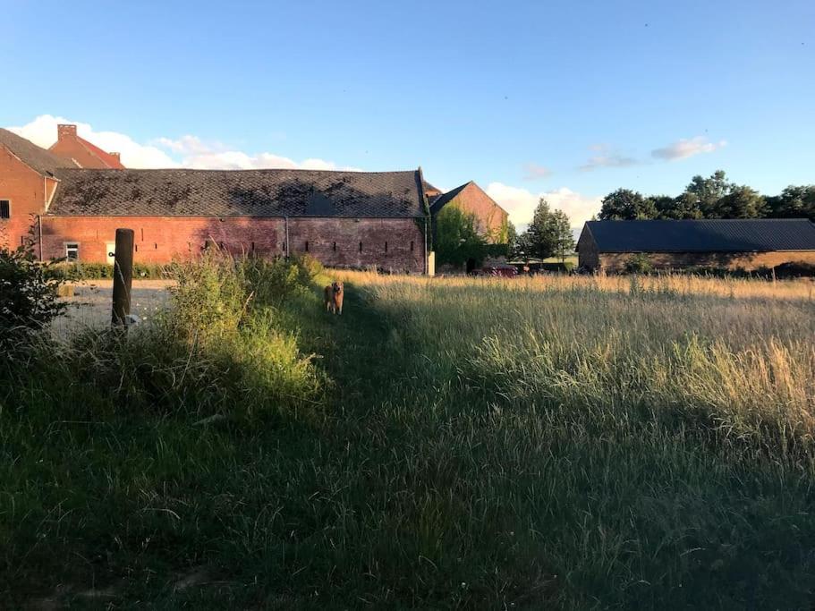 Le Cottage - Maison De 6 A 8 Personnes - La Ferme Du Try Frasnes-lez-Gosselies Dış mekan fotoğraf